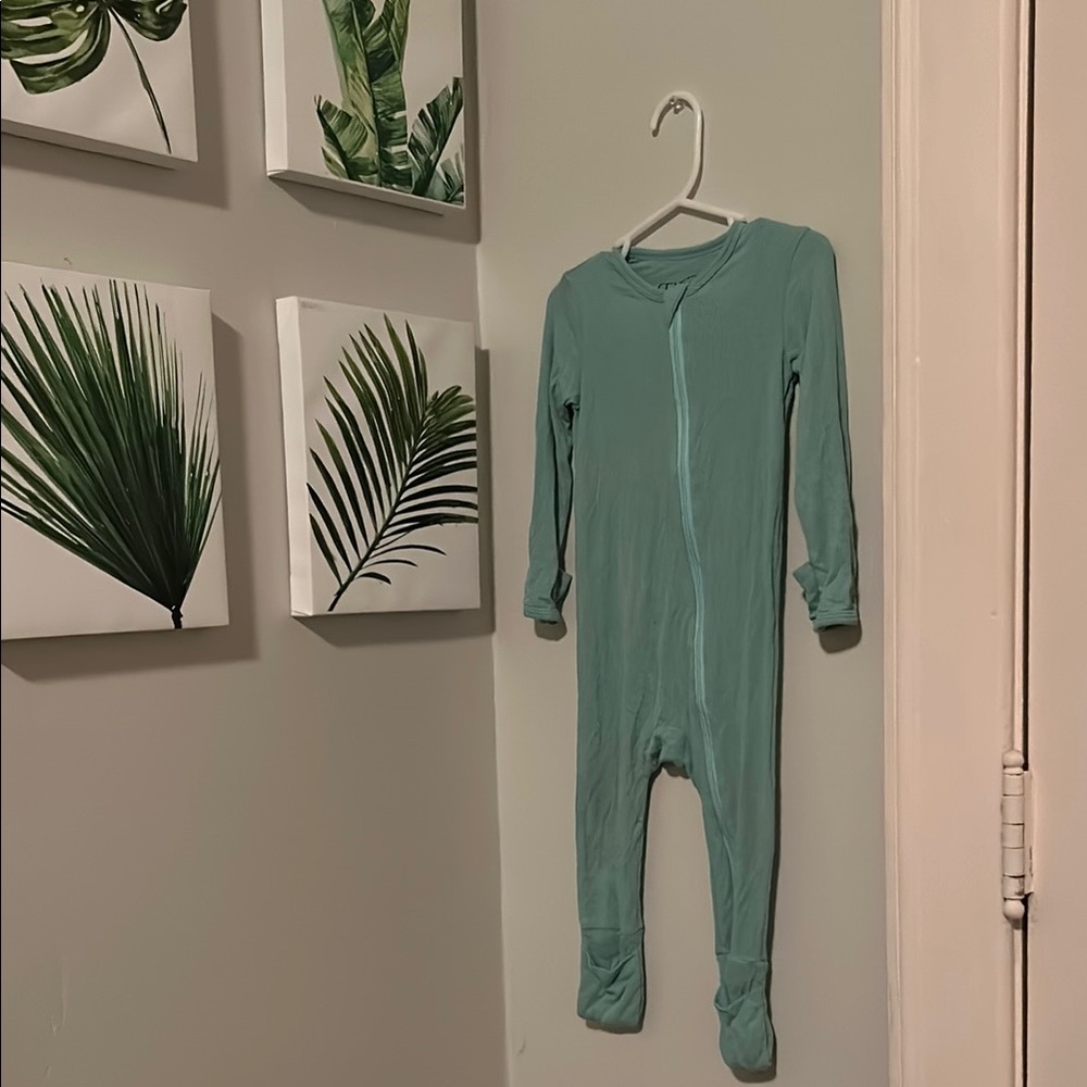 Green bamboo zippy
